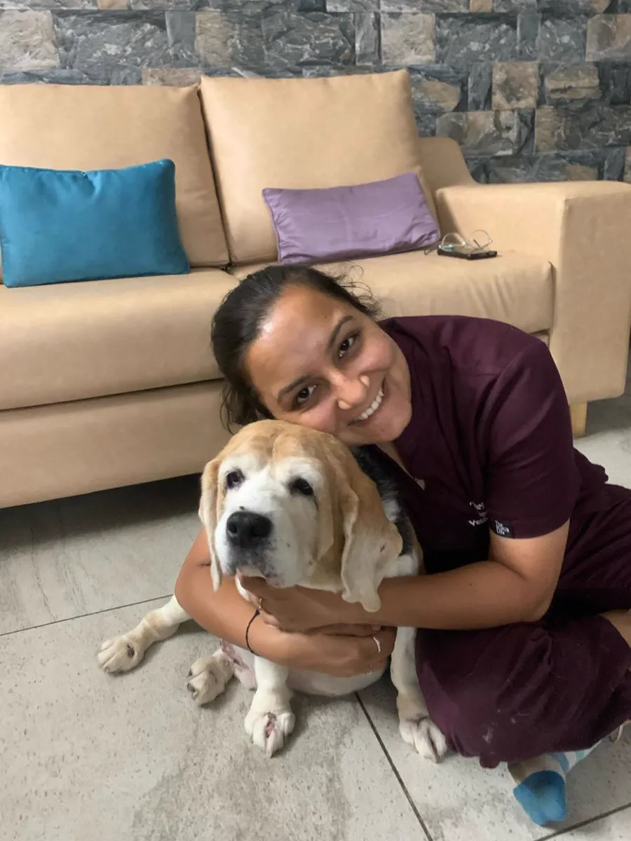 Dr. Dhanvi Patel with a senior beagle, grey around the muzzle, during a home visit